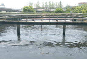 滁州市某化工園區（qū）汙水處理廠項...